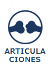1 articula