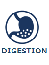 6 digestion