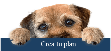 Crea Tu Plan